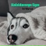 Kaleidoscope Eyes
