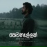 Vidula Ravishara