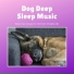 Dog Bedtime