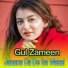 Gul Zameen