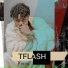 Tflash