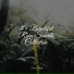 Rainfall, Entspannungsmusik, Música Zen Relaxante