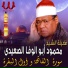 Al Sheikh Mahmoud Abo Al Wafa Al Seidy