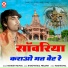 Mahesh Paliwal