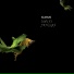 Icarus