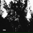 Adetue