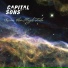 Capital Sons