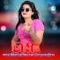 Golu Baiplawat, Vikram Meerwal