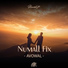 Numall Fix