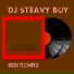 DJ Steavy Boy