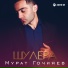 Мурат Гочияев
