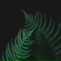 Relaxing Music Therapy, Deep Sleep, Meditaciónessa