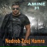 Amine 31