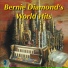 Bernie Diamond