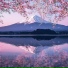 Hakuuro