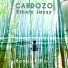 Cardozo Ethnic Jazzy trio