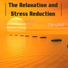 Stress Relief Collection