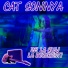 CAT SONNYA