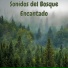 Musica para ambientar la casa