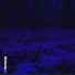 silentway