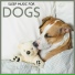 Pet Music Academy