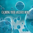 Calm Music Ensemble
