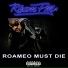 ROAM FM