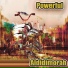 Aldidimorah