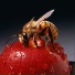Red Bee Light