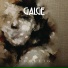 GALGE