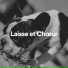 Musique Relaxante pour Chiens