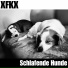 XFKX