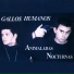 Gallos Humanos
