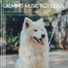 Dog Music Dreams