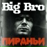 Big bro