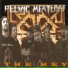 Pelvic Meatloaf