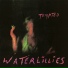 Waterlillies