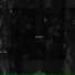 vvpskvd., DJ KUSH SMOKAH