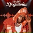 Hady