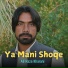 Ali Raza Kharani