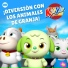 KiiYii en Español