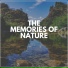 Rain Sounds Nature Collection