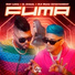 baby lores, el chacal, VLA Music Entertainment