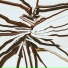 Shadowgraphs