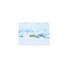 Mindfulness Healing Sleep BGM Project