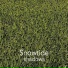 snowtide