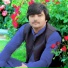 Gull Mashom