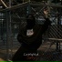 Lustopad