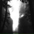 PHONK DEPARTMENT, DXCD77
