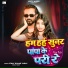Vinay Kumar Yadav, Alka Yadav